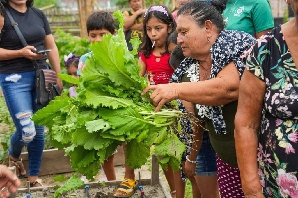 Huertos agroecológicos en Manta: sembrar esperanza, cosechar futuro